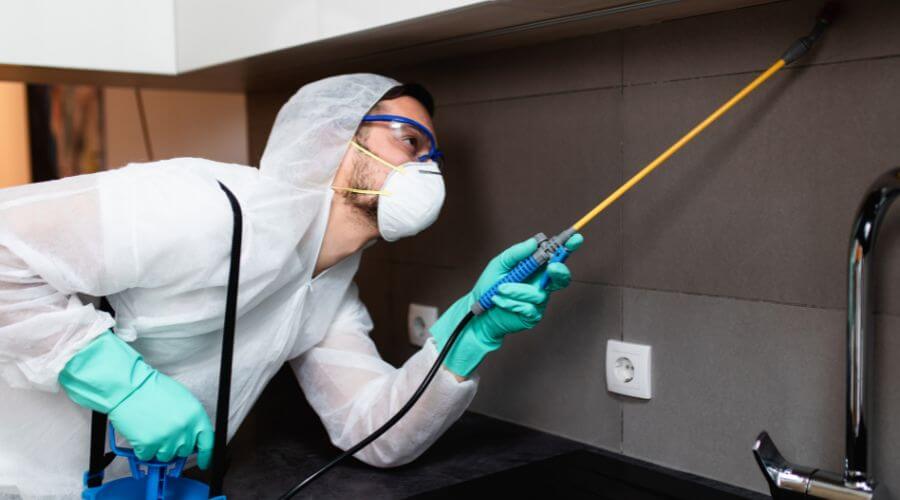Why choose Wisconsin Rapids Bait Systems for bait systems in Wisconsin Rapids